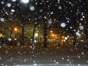 Free download [snow, brooklyn, park, night]  free photo or picture to be edited with GIMP online image editor